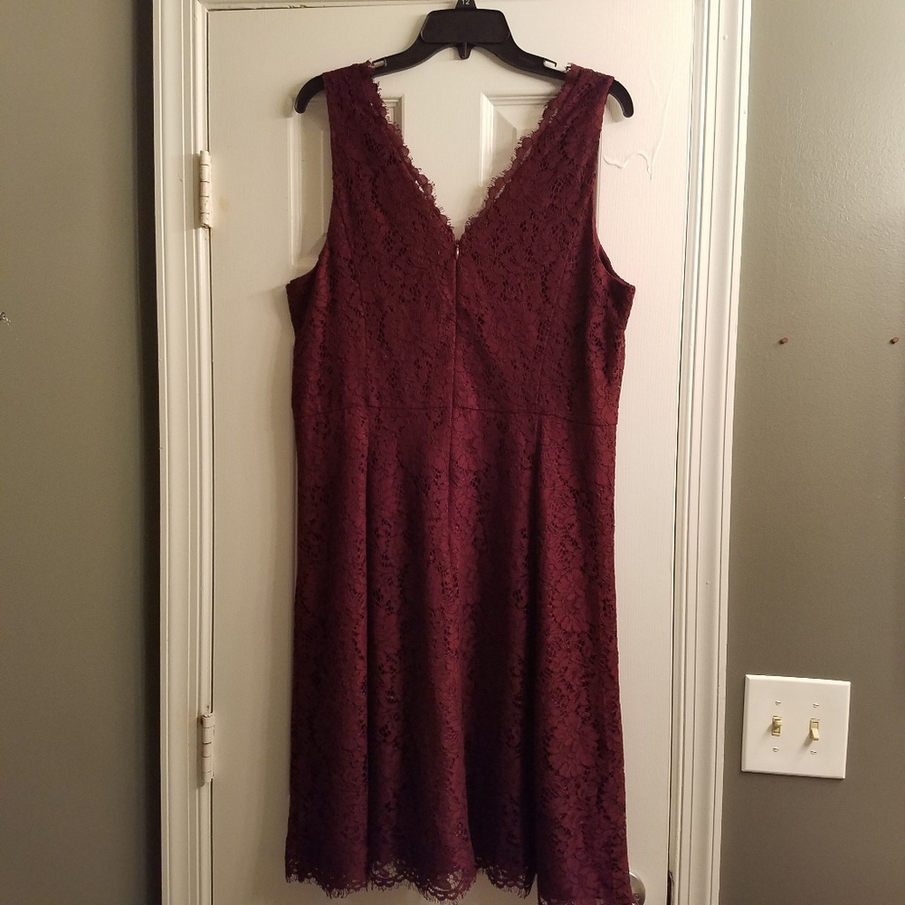 NWT Loft Lace Dress